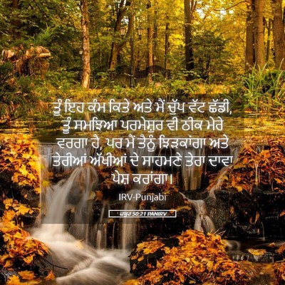 Picture 05 - ਜ਼ਬੂਰ 50:21 PANIRV - ਤੂੰ ਇਹ ਕੰਮ ਕਿਤੇ ਅਤੇ - Bible Verse Picture