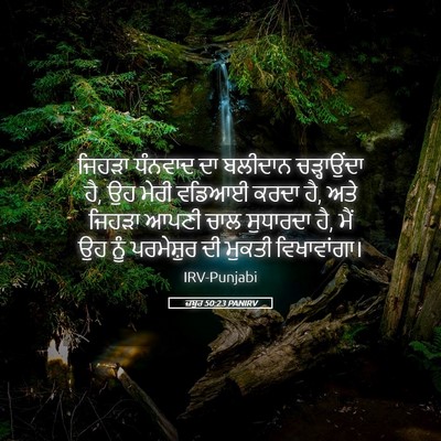 Picture 05 - ਜ਼ਬੂਰ 50:23 PANIRV - ਜਿਹੜਾ ਧੰਨਵਾਦ ਦਾ - Bible Verse Picture