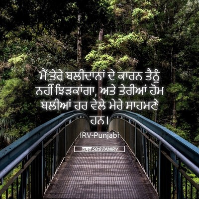 Picture 05 - ਜ਼ਬੂਰ 50:8 PANIRV - ਮੈਂ ਤੇਰੇ ਬਲੀਦਾਨਾਂ - Bible Verse Picture