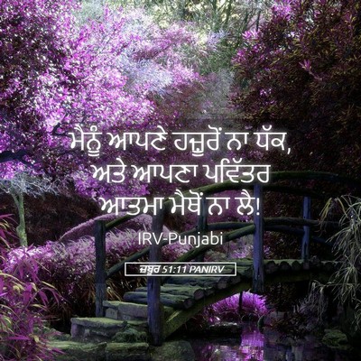 Picture 05 - ਜ਼ਬੂਰ 51:11 PANIRV - ਮੈਨੂੰ ਆਪਣੇ - Bible Verse Picture