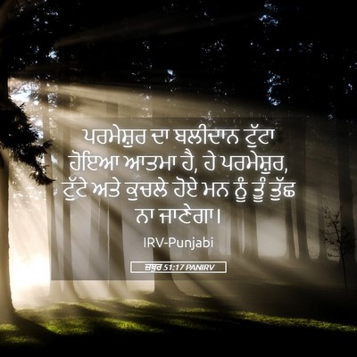 Picture 05 - ਜ਼ਬੂਰ 51:17 PANIRV - ਪਰਮੇਸ਼ੁਰ ਦਾ - Bible Verse Picture