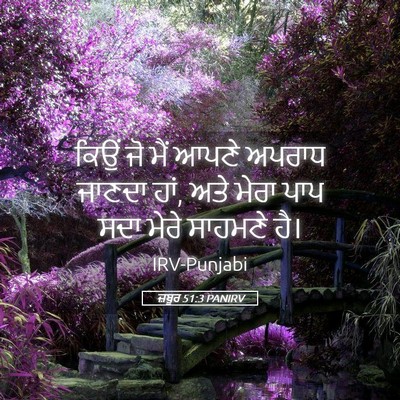Picture 05 - ਜ਼ਬੂਰ 51:3 PANIRV - ਕਿਉਂ ਜੋ ਮੈਂ ਆਪਣੇ - Bible Verse Picture