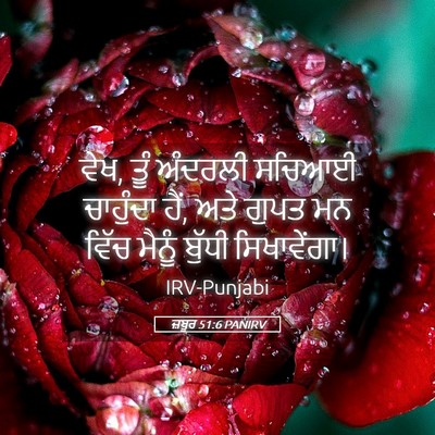 Picture 05 - ਜ਼ਬੂਰ 51:6 PANIRV - ਵੇਖ, ਤੂੰ ਅੰਦਰਲੀ - Bible Verse Picture