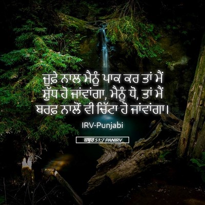 Picture 05 - ਜ਼ਬੂਰ 51:7 PANIRV - ਜੂਫ਼ੇ ਨਾਲ ਮੈਨੂੰ - Bible Verse Picture