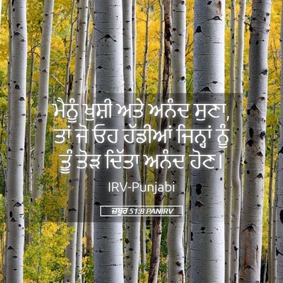 Picture 05 - ਜ਼ਬੂਰ 51:8 PANIRV - ਮੈਨੂੰ ਖੁਸ਼ੀ ਅਤੇ - Bible Verse Picture