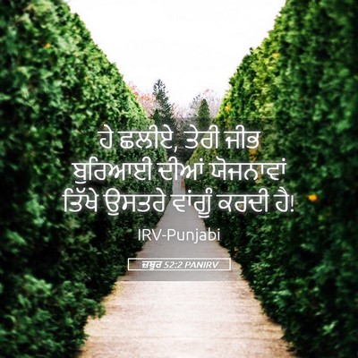 Picture 05 - ਜ਼ਬੂਰ 52:2 PANIRV - ਹੇ ਛਲੀਏ, ਤੇਰੀ ਜੀਭ - Bible Verse Picture