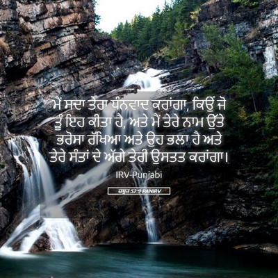 Picture 05 - ਜ਼ਬੂਰ 52:9 PANIRV - ਮੈਂ ਸਦਾ ਤੇਰਾ - Bible Verse Picture