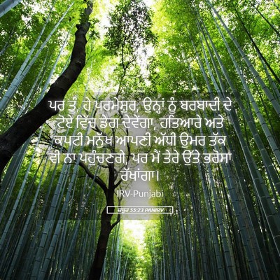 Picture 05 - ਜ਼ਬੂਰ 55:23 PANIRV - ਪਰ ਤੂੰ, ਹੇ - Bible Verse Picture