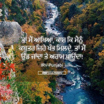 Picture 05 - ਜ਼ਬੂਰ 55:6 PANIRV - ਤਾਂ ਮੈਂ ਆਖਿਆ, ਕਾਸ਼ - Bible Verse Picture