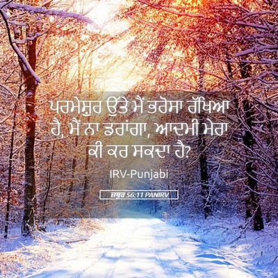 Picture 05 - ਜ਼ਬੂਰ 56:11 PANIRV - ਪਰਮੇਸ਼ੁਰ ਉੱਤੇ ਮੈਂ - Bible Verse Picture