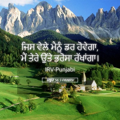 Picture 05 - ਜ਼ਬੂਰ 56:3 PANIRV - ਜਿਸ ਵੇਲੇ ਮੈਨੂੰ ਡਰ - Bible Verse Picture