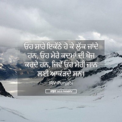 Picture 05 - ਜ਼ਬੂਰ 56:6 PANIRV - ਓਹ ਸਾਰੇ ਇਕੱਠੇ ਹੋ ਕੇ - Bible Verse Picture