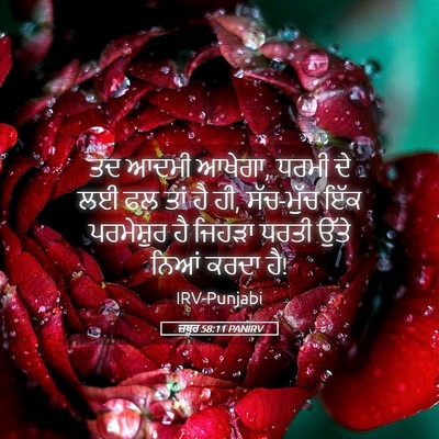 Picture 05 - ਜ਼ਬੂਰ 58:11 PANIRV - ਤਦ ਆਦਮੀ ਆਖੇਗਾ, ਧਰਮੀ - Bible Verse Picture