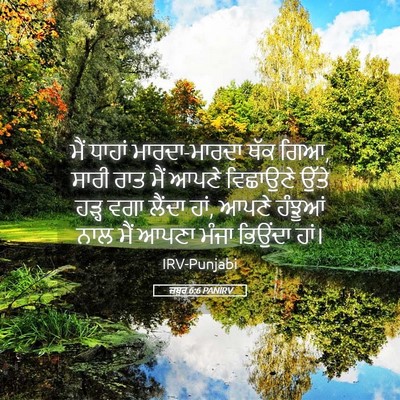 Picture 05 - ਜ਼ਬੂਰ 6:6 PANIRV - ਮੈਂ ਧਾਹਾਂ - Bible Verse Picture