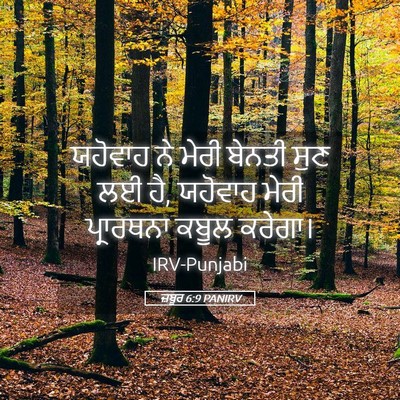 Picture 05 - ਜ਼ਬੂਰ 6:9 PANIRV - ਯਹੋਵਾਹ ਨੇ ਮੇਰੀ - Bible Verse Picture