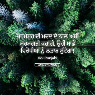 Picture 05 - ਜ਼ਬੂਰ 60:12 PANIRV - ਪਰਮੇਸ਼ੁਰ ਦੀ ਮਦਦ ਦੇ - Bible Verse Picture