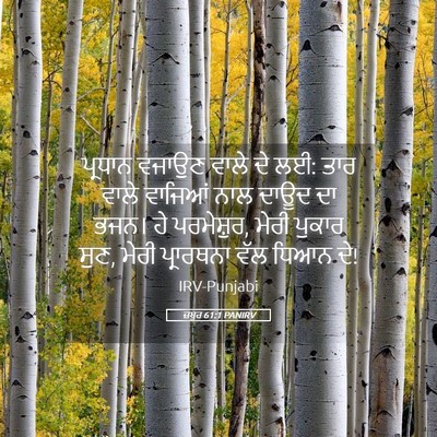 Picture 05 - ਜ਼ਬੂਰ 61:1 PANIRV - ਪ੍ਰਧਾਨ ਵਜਾਉਣ ਵਾਲੇ - Bible Verse Picture