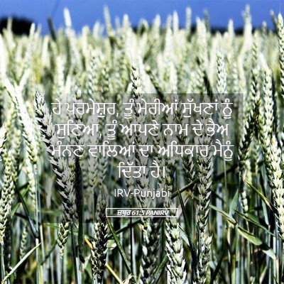 Picture 05 - ਜ਼ਬੂਰ 61:5 PANIRV - ਹੇ ਪਰਮੇਸ਼ੁਰ, ਤੂੰ - Bible Verse Picture