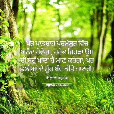 Picture 05 - ਜ਼ਬੂਰ 63:11 PANIRV - ਪਰ ਪਾਤਸ਼ਾਹ - Bible Verse Picture