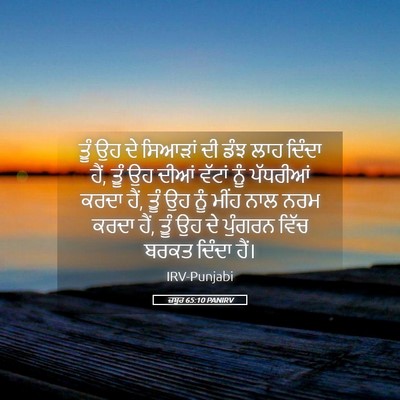 Picture 05 - ਜ਼ਬੂਰ 65:10 PANIRV - ਤੂੰ ਉਹ ਦੇ ਸਿਆੜਾਂ ਦੀ - Bible Verse Picture