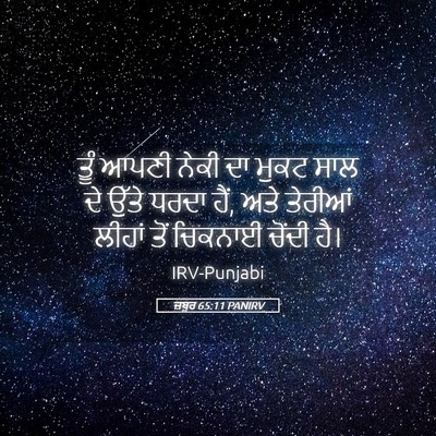 Picture 05 - ਜ਼ਬੂਰ 65:11 PANIRV - ਤੂੰ ਆਪਣੀ ਨੇਕੀ ਦਾ - Bible Verse Picture
