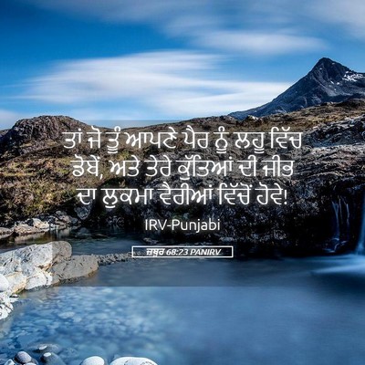 Picture 05 - ਜ਼ਬੂਰ 68:23 PANIRV - ਤਾਂ ਜੋ ਤੂੰ ਆਪਣੇ ਪੈਰ - Bible Verse Picture