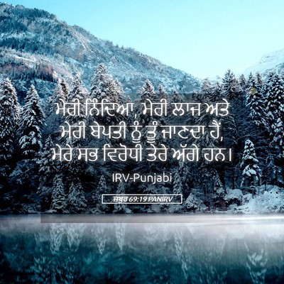 Picture 05 - ਜ਼ਬੂਰ 69:19 PANIRV - ਮੇਰੀ ਨਿੰਦਿਆ, ਮੇਰੀ - Bible Verse Picture
