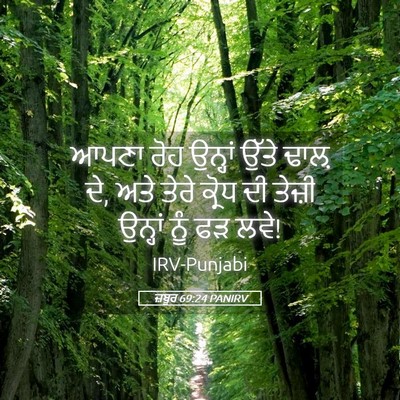 Picture 05 - ਜ਼ਬੂਰ 69:24 PANIRV - ਆਪਣਾ ਰੋਹ ਉਨ੍ਹਾਂ - Bible Verse Picture