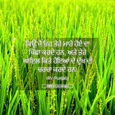 Picture 05 - ਜ਼ਬੂਰ 69:26 PANIRV - ਕਿਉਂ ਜੋ ਓਹ ਤੇਰੇ - Bible Verse Picture