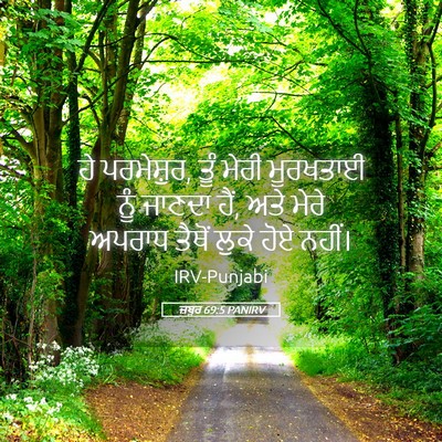 Picture 05 - ਜ਼ਬੂਰ 69:5 PANIRV - ਹੇ ਪਰਮੇਸ਼ੁਰ, ਤੂੰ - Bible Verse Picture