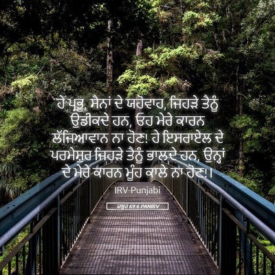 Picture 05 - ਜ਼ਬੂਰ 69:6 PANIRV - ਹੇ ਪ੍ਰਭੂ, ਸੈਨਾਂ ਦੇ - Bible Verse Picture