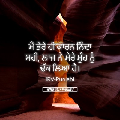 Picture 05 - ਜ਼ਬੂਰ 69:7 PANIRV - ਮੈਂ ਤੇਰੇ ਹੀ ਕਾਰਨ - Bible Verse Picture