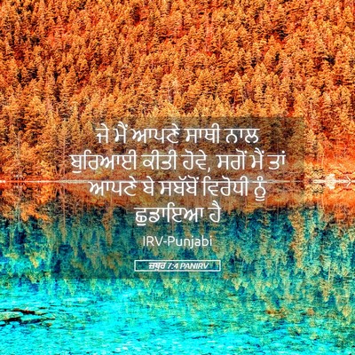 Picture 05 - ਜ਼ਬੂਰ 7:4 PANIRV - ਜੇ ਮੈਂ ਆਪਣੇ ਸਾਥੀ - Bible Verse Picture