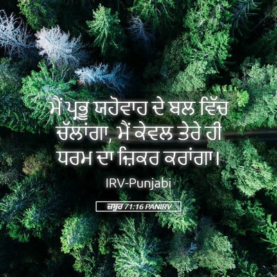Picture 05 - ਜ਼ਬੂਰ 71:16 PANIRV - ਮੈਂ ਪ੍ਰਭੂ ਯਹੋਵਾਹ - Bible Verse Picture