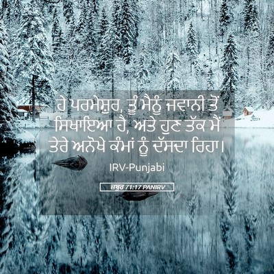 Picture 05 - ਜ਼ਬੂਰ 71:17 PANIRV - ਹੇ ਪਰਮੇਸ਼ੁਰ, ਤੂੰ - Bible Verse Picture
