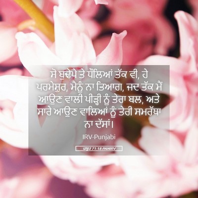 Picture 05 - ਜ਼ਬੂਰ 71:18 PANIRV - ਸੋ ਬੁਢੇਪੇ ਤੇ - Bible Verse Picture