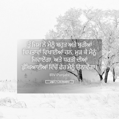 Picture 05 - ਜ਼ਬੂਰ 71:20 PANIRV - ਤੂੰ ਜਿਸ ਨੇ ਮੈਨੂੰ - Bible Verse Picture