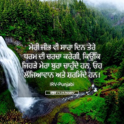 Picture 05 - ਜ਼ਬੂਰ 71:24 PANIRV - ਮੇਰੀ ਜੀਭ ਵੀ ਸਾਰਾ - Bible Verse Picture
