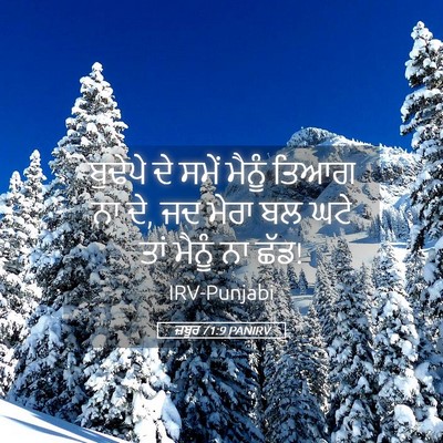 Picture 05 - ਜ਼ਬੂਰ 71:9 PANIRV - ਬੁਢੇਪੇ ਦੇ ਸਮੇਂ - Bible Verse Picture