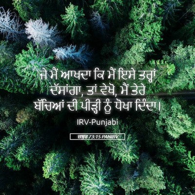 Picture 05 - ਜ਼ਬੂਰ 73:15 PANIRV - ਜੇ ਮੈਂ ਆਖਦਾ ਕਿ ਮੈਂ - Bible Verse Picture