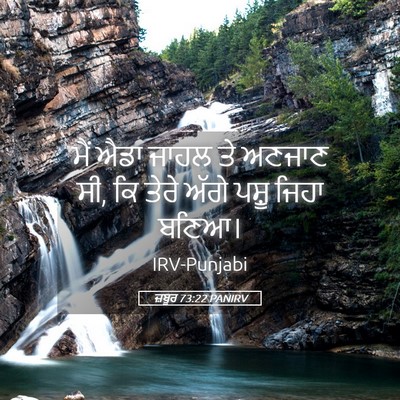 Picture 05 - ਜ਼ਬੂਰ 73:22 PANIRV - ਮੈਂ ਐਡਾ ਜਾਹਲ ਤੇ - Bible Verse Picture