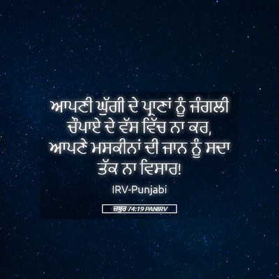 Picture 05 - ਜ਼ਬੂਰ 74:19 PANIRV - ਆਪਣੀ ਘੁੱਗੀ ਦੇ - Bible Verse Picture