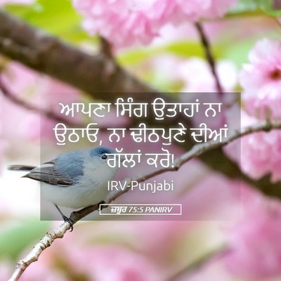 Picture 05 - ਜ਼ਬੂਰ 75:5 PANIRV - ਆਪਣਾ ਸਿੰਗ ਉਤਾਹਾਂ - Bible Verse Picture
