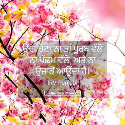 Picture 05 - ਜ਼ਬੂਰ 75:6 PANIRV - ਉੱਚਾ ਹੋਣਾ ਨਾ ਤਾਂ - Bible Verse Picture