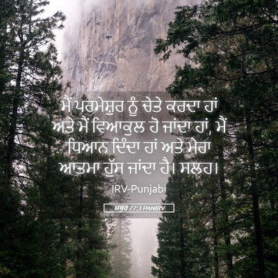 Picture 05 - ਜ਼ਬੂਰ 77:3 PANIRV - ਮੈਂ ਪਰਮੇਸ਼ੁਰ ਨੂੰ - Bible Verse Picture