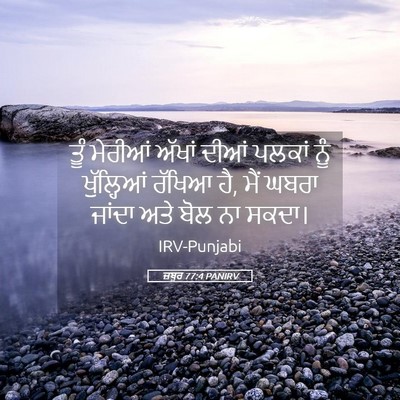 Picture 05 - ਜ਼ਬੂਰ 77:4 PANIRV - ਤੂੰ ਮੇਰੀਆਂ ਅੱਖਾਂ - Bible Verse Picture