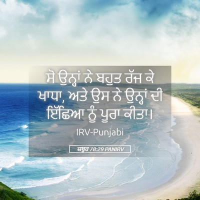 Picture 05 - ਜ਼ਬੂਰ 78:29 PANIRV - ਸੋ ਉਨ੍ਹਾਂ ਨੇ ਬਹੁਤ - Bible Verse Picture
