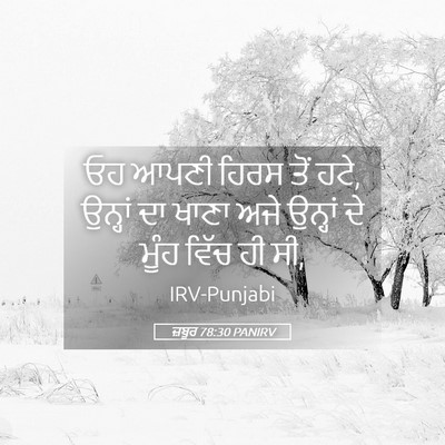 Picture 05 - ਜ਼ਬੂਰ 78:30 PANIRV - ਓਹ ਆਪਣੀ ਹਿਰਸ ਤੋਂ - Bible Verse Picture