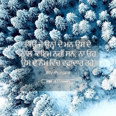 Picture 05 - ਜ਼ਬੂਰ 78:37 PANIRV - ਕਿਉਂ ਜੋ ਉਨ੍ਹਾਂ ਦੇ - Bible Verse Picture