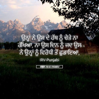 Picture 05 - ਜ਼ਬੂਰ 78:42 PANIRV - ਉਨ੍ਹਾਂ ਨੇ ਉਸ ਦੇ ਹੱਥ - Bible Verse Picture